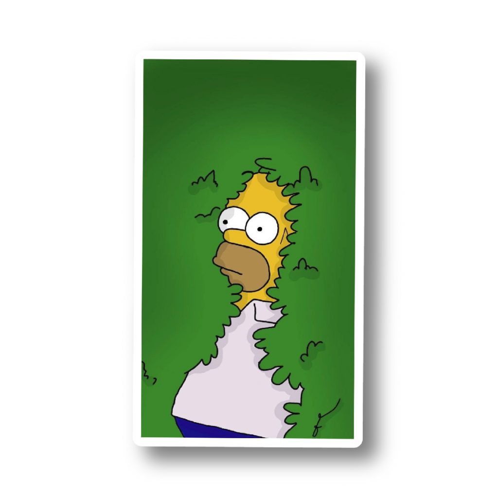 Los Simpsons 18