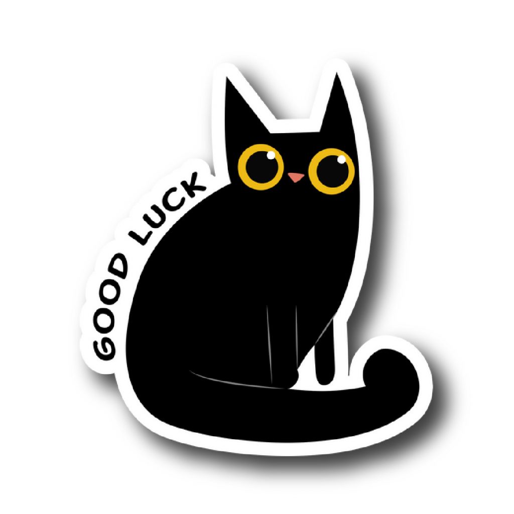 Cats 11