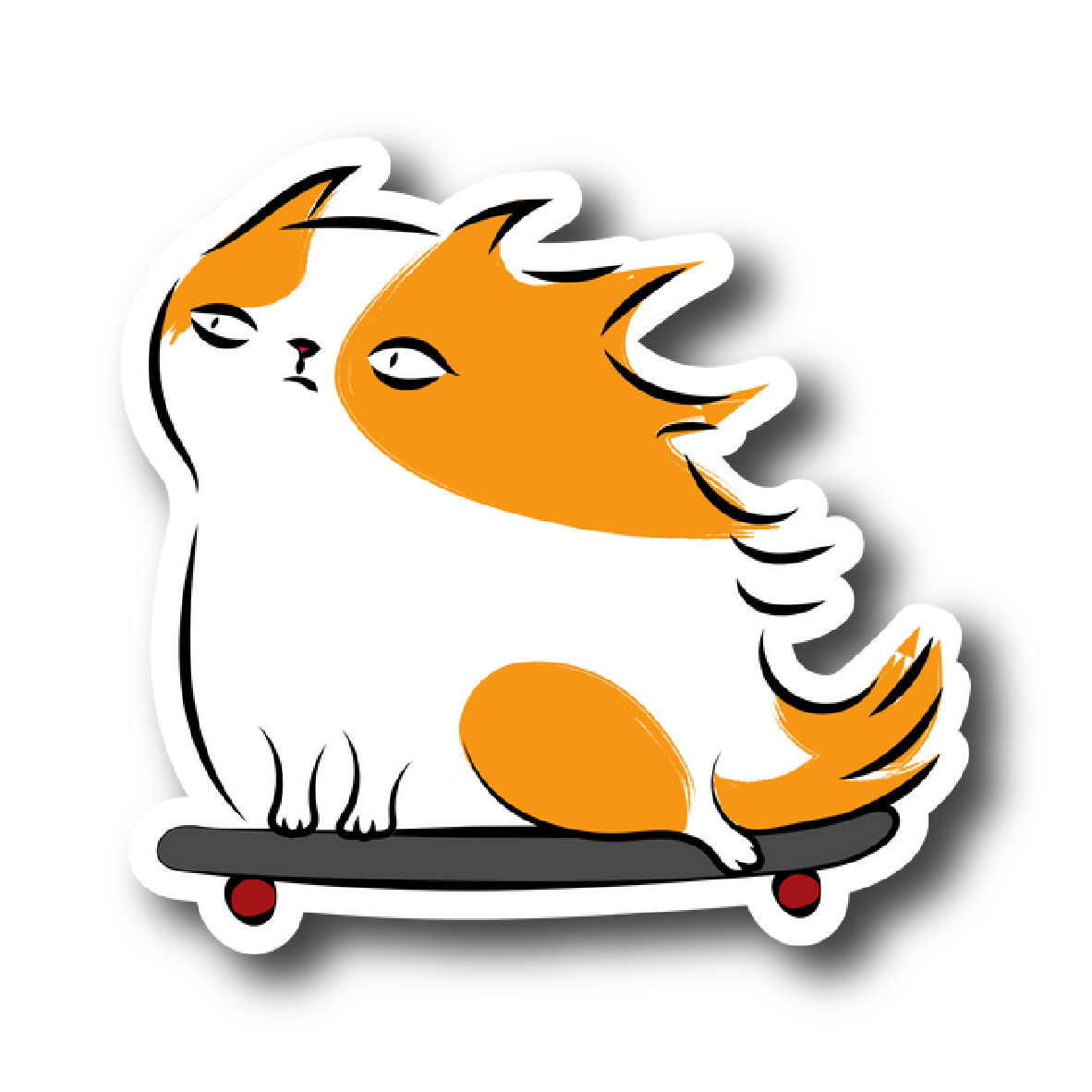 Cats 107