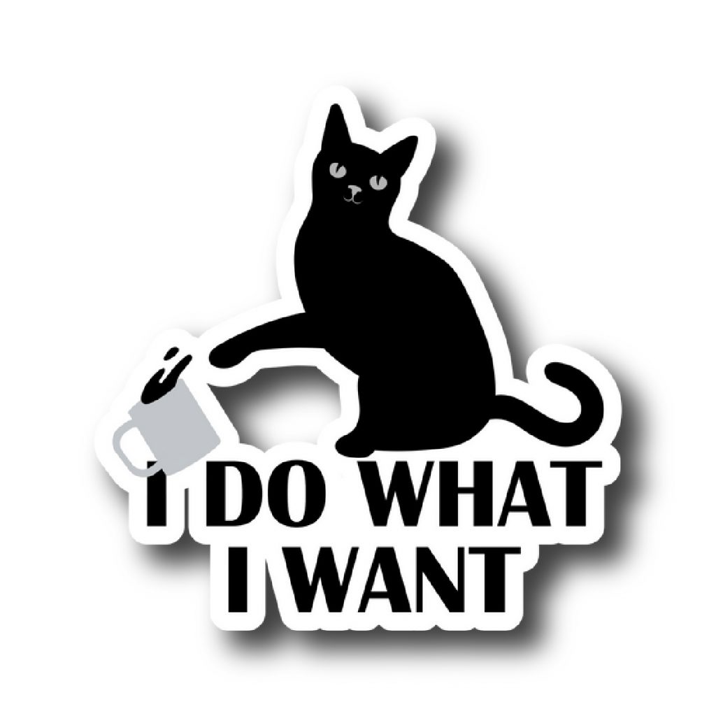 Cats 12
