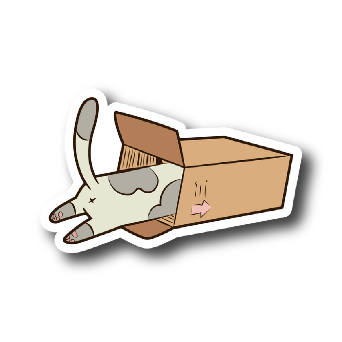 Cats 119