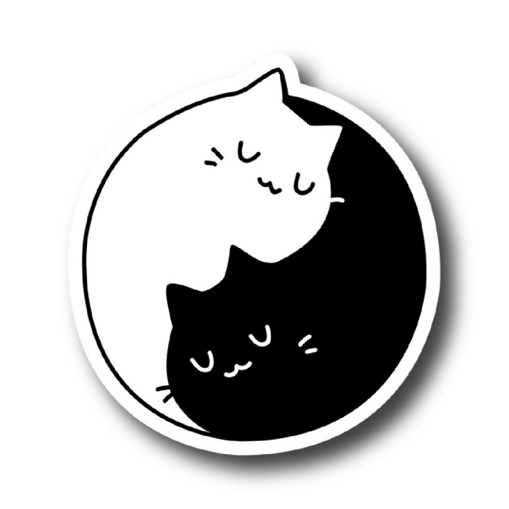 Cats 121