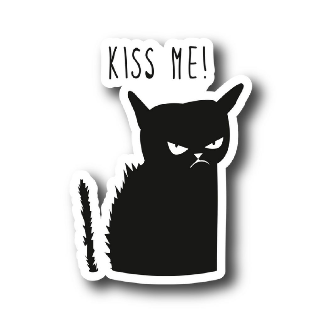 Cats 122