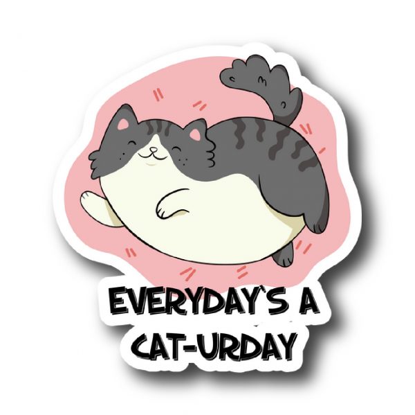 Cats 128