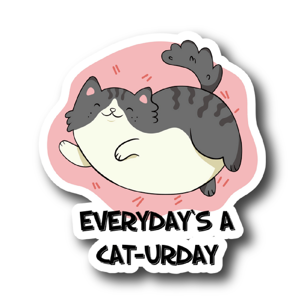 Cats 128