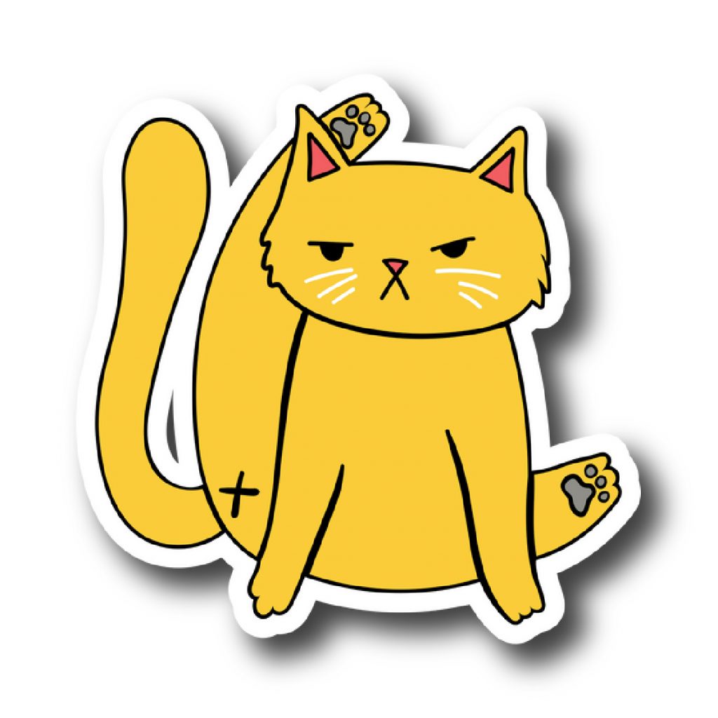 Cats 141