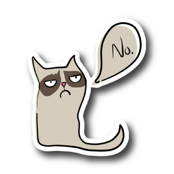 Cats 145