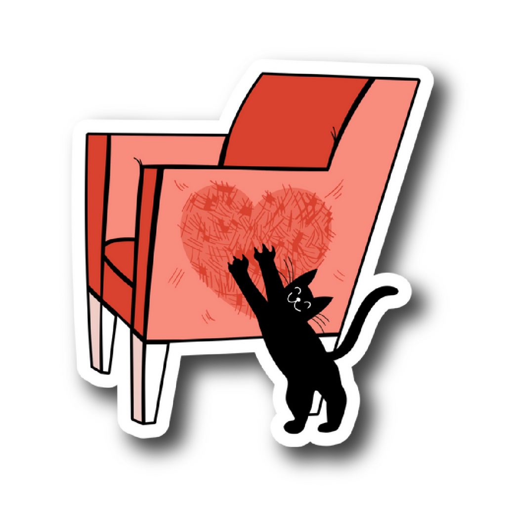 Cats 16