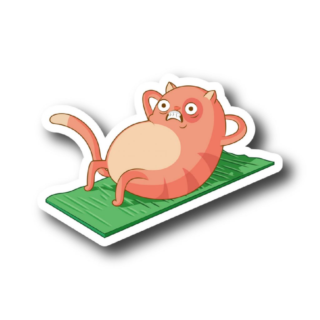 Cats 153