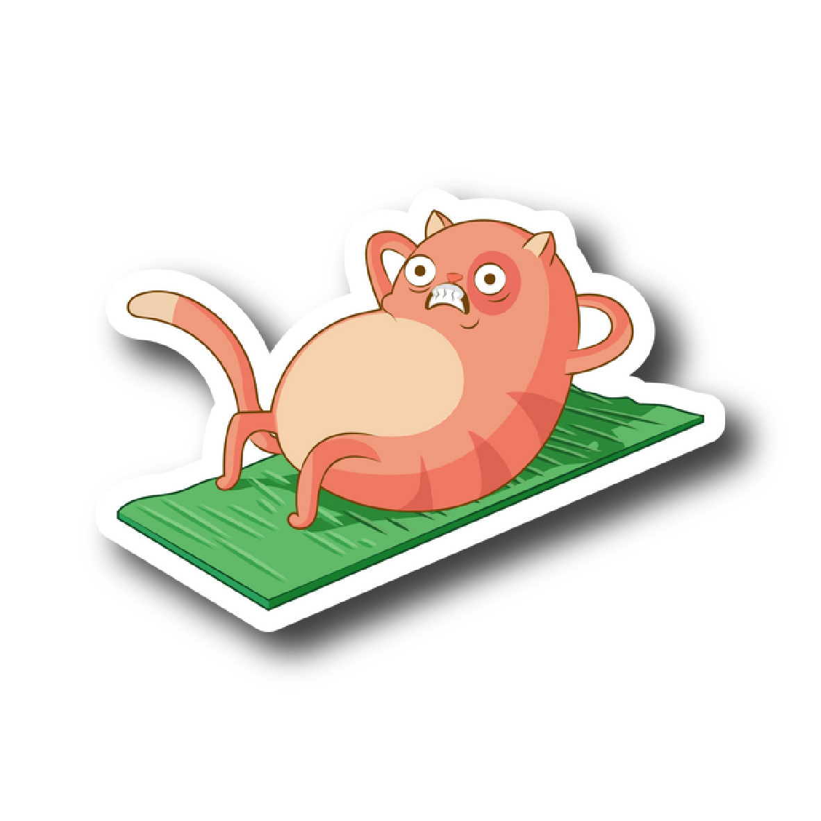 Cats 153