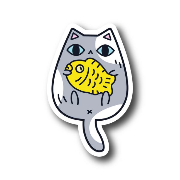 Cats 163