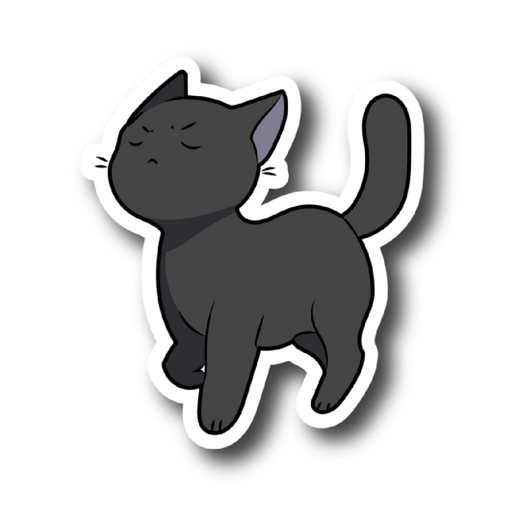 Cats 19