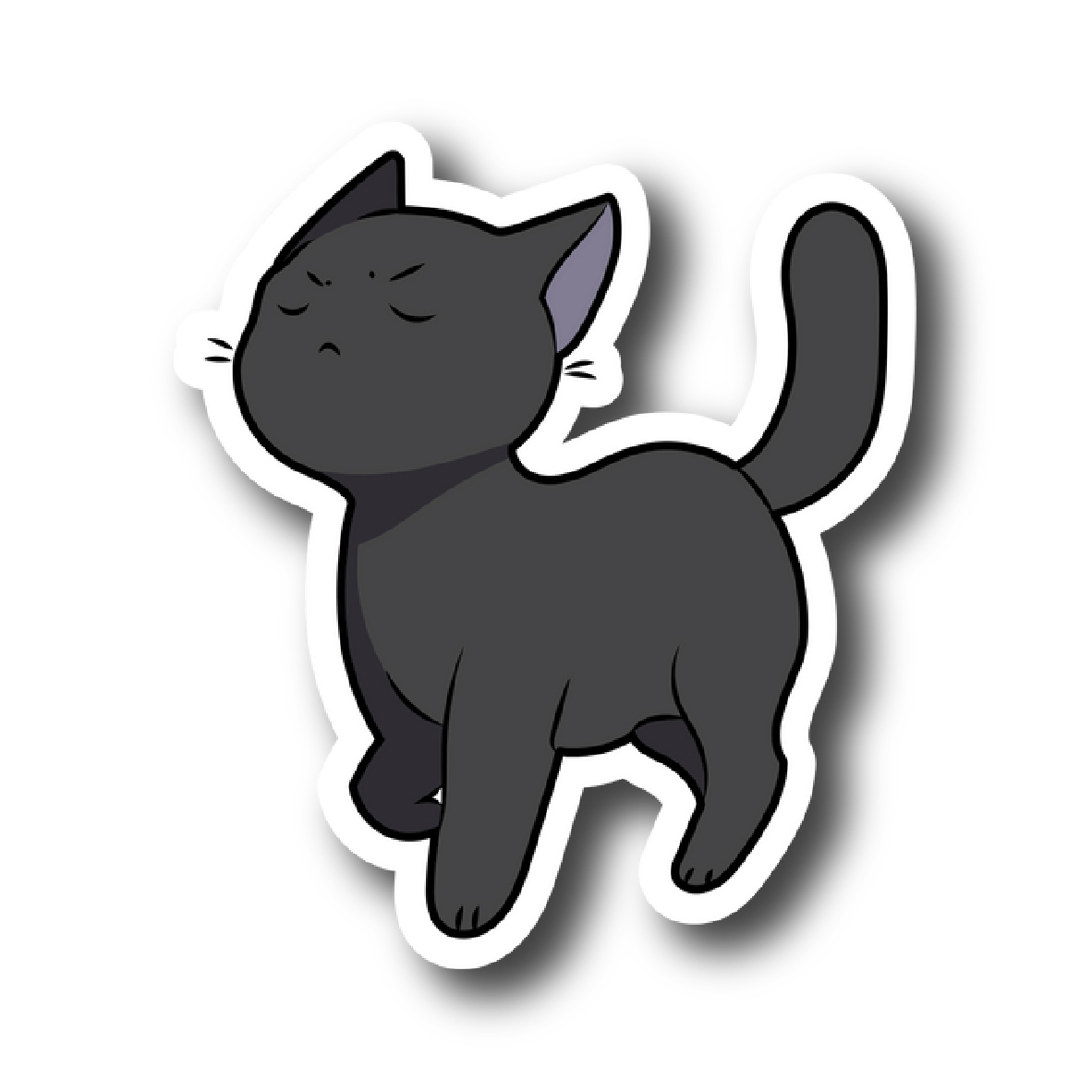 Cats 19