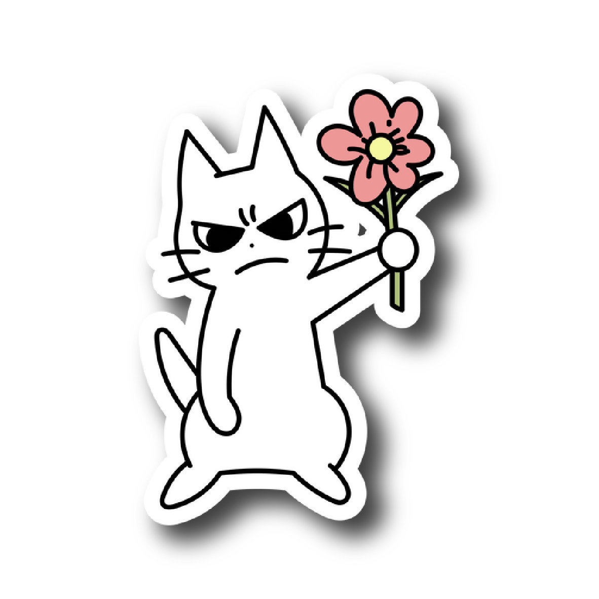Cats 35