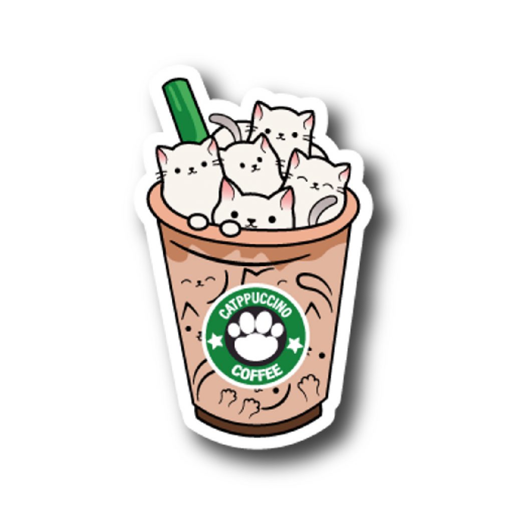 Cats 41