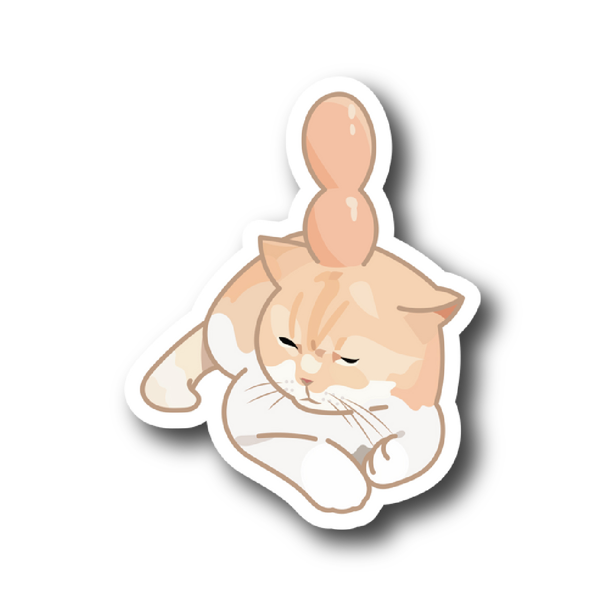 Cats 42