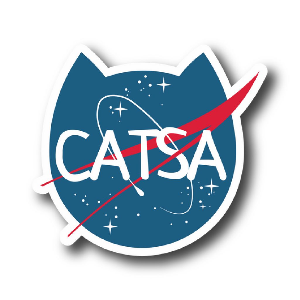 Cats 43