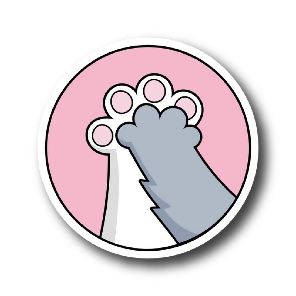 Cats 46