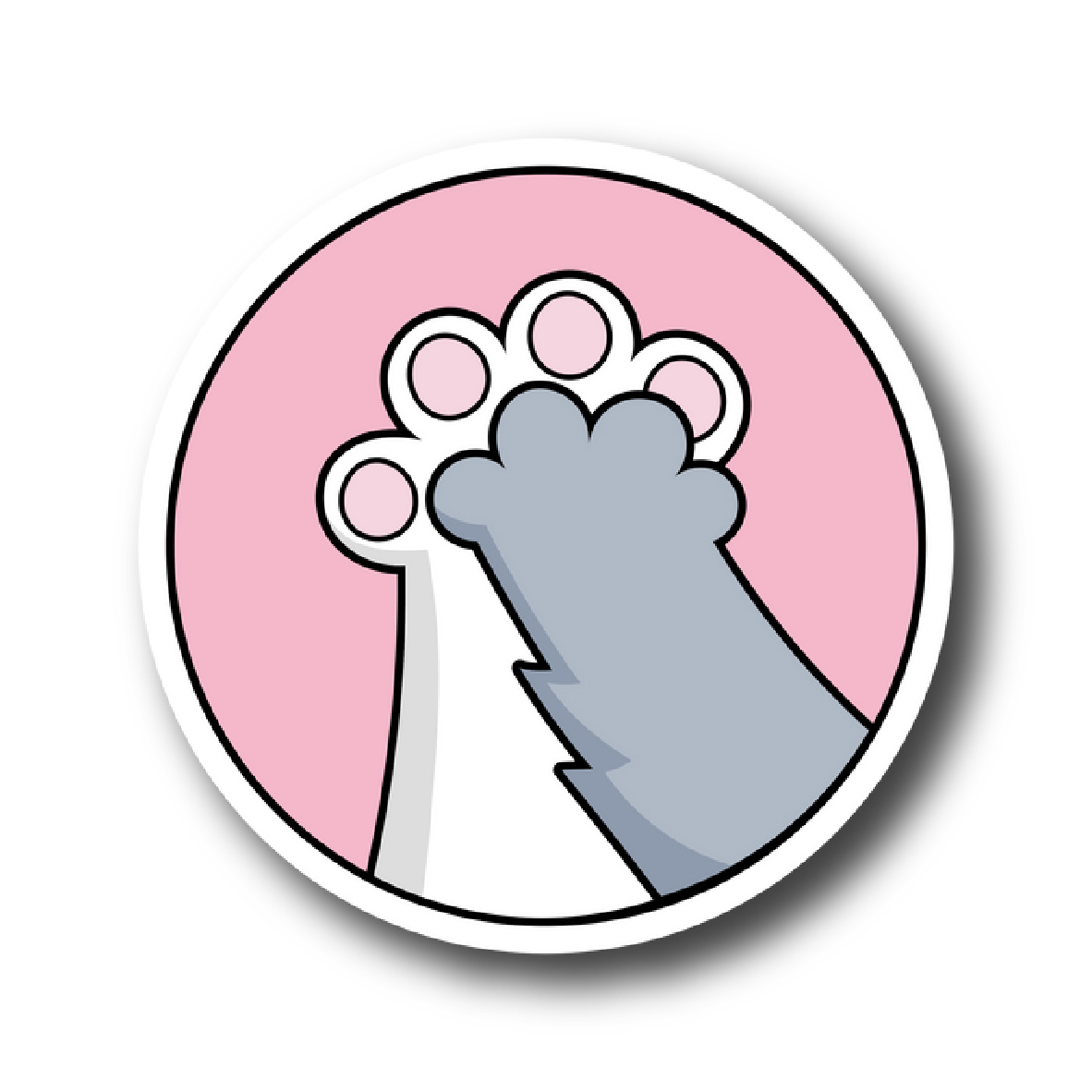 Cats 46