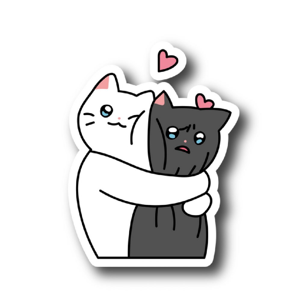 Cats 48