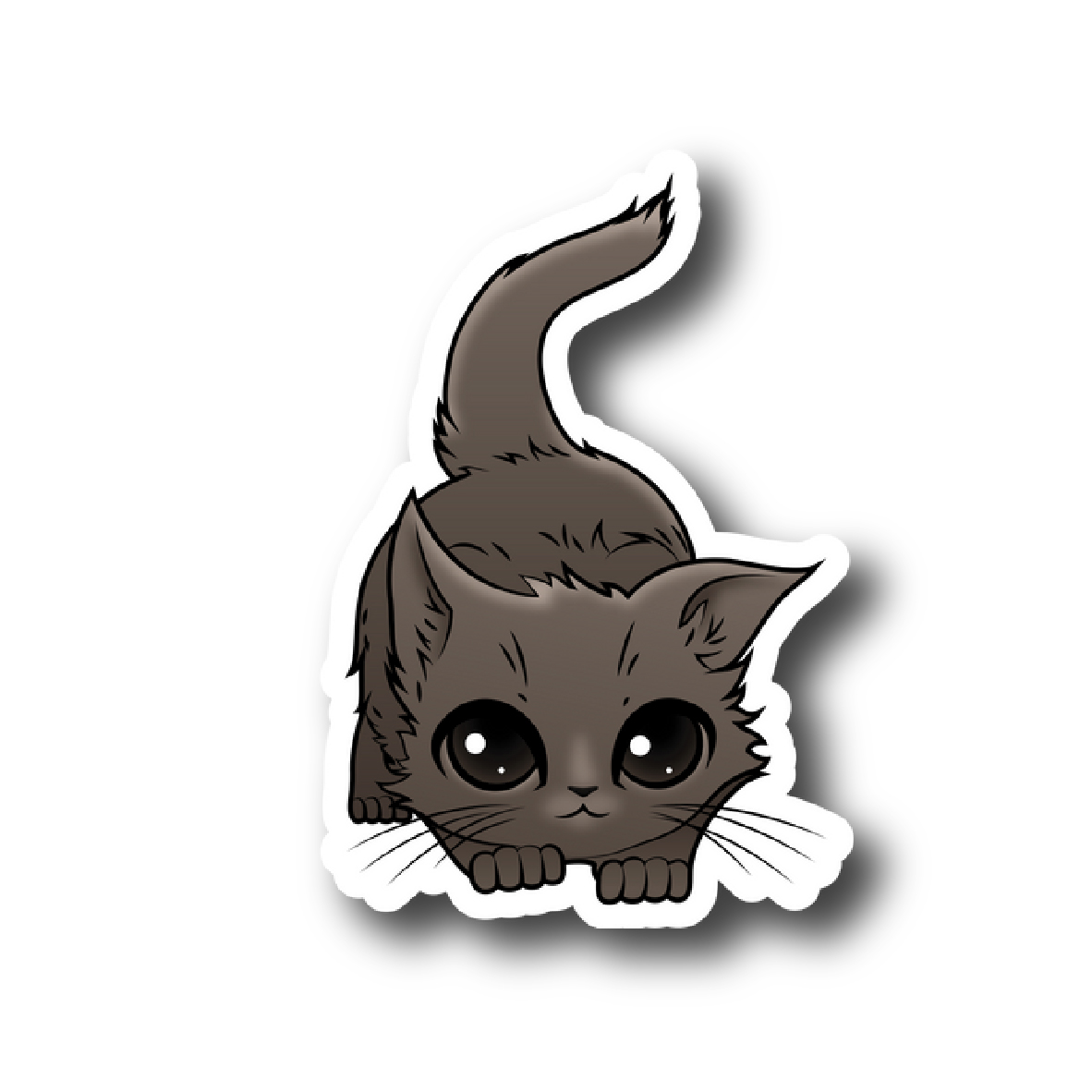 Cats 57