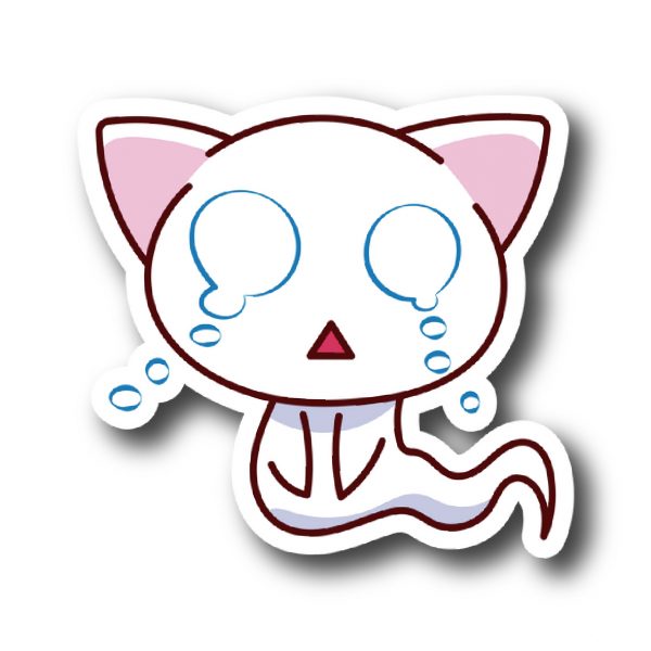 Cats 59