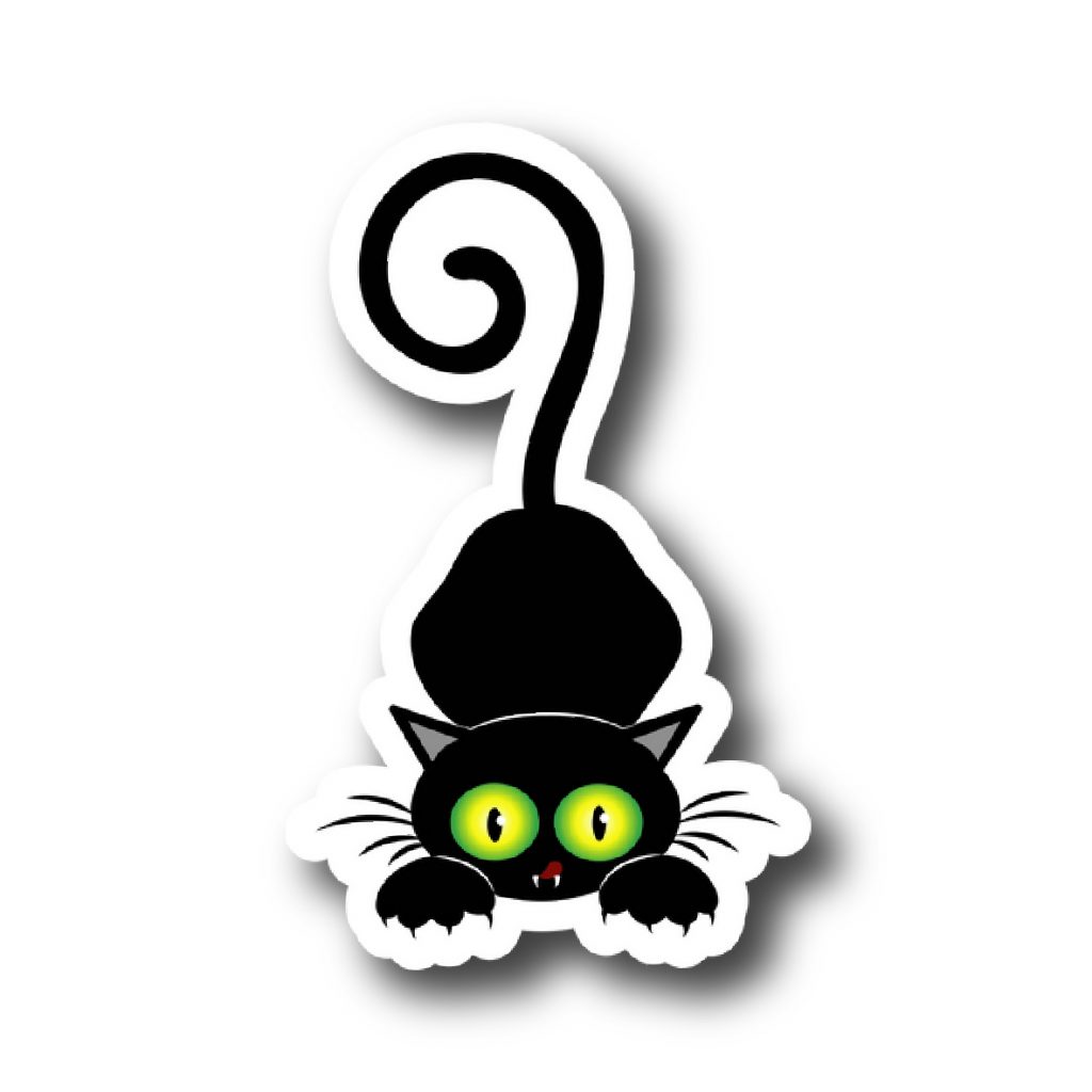 Cats 9