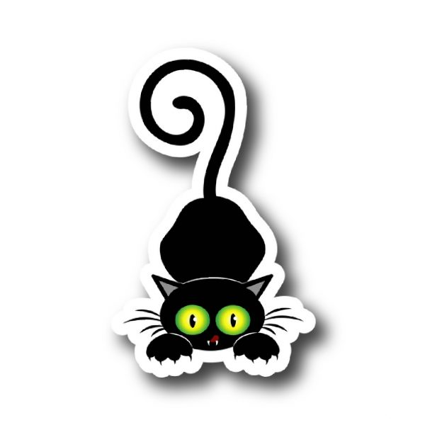 cats (8) Cats 9
