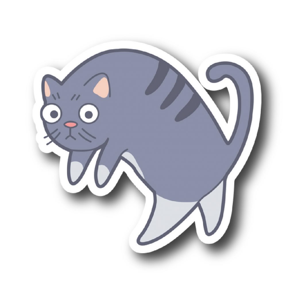 Cats 91