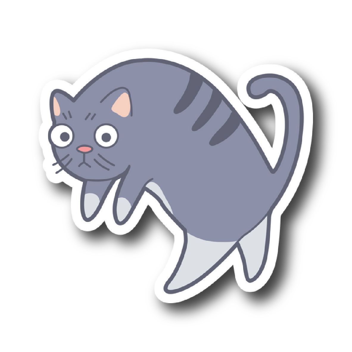 Cats 91