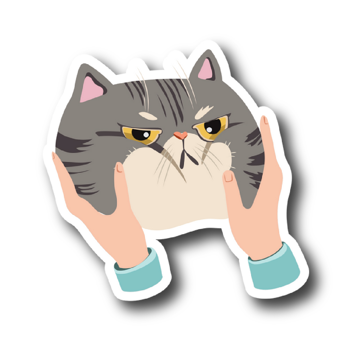 Cats 100