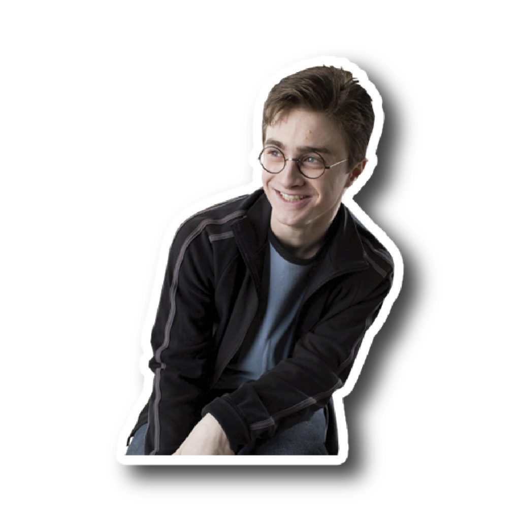 Harry Potter 12