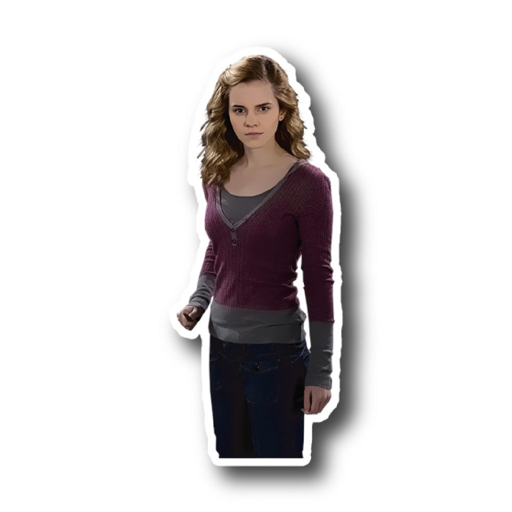 Harry Potter 13
