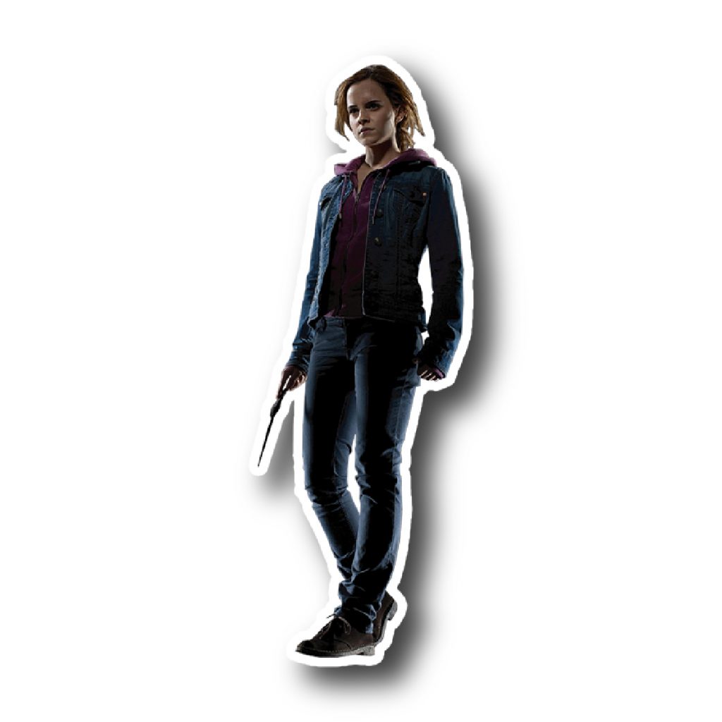 Harry Potter 14