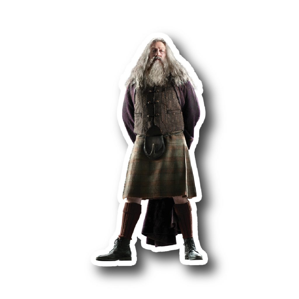 Harry Potter 23
