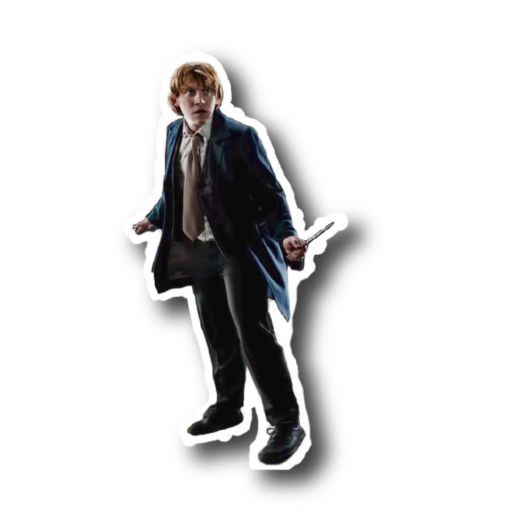 Harry Potter 24