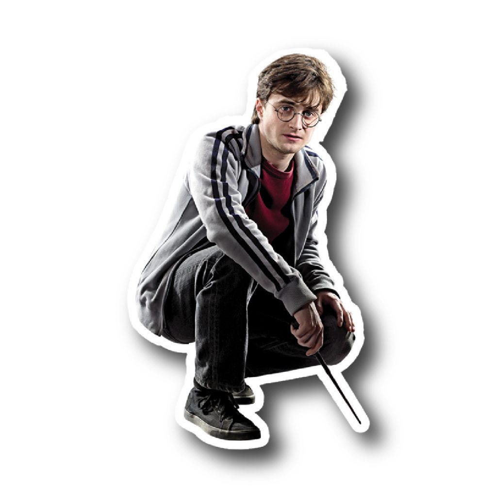 Harry Potter 28