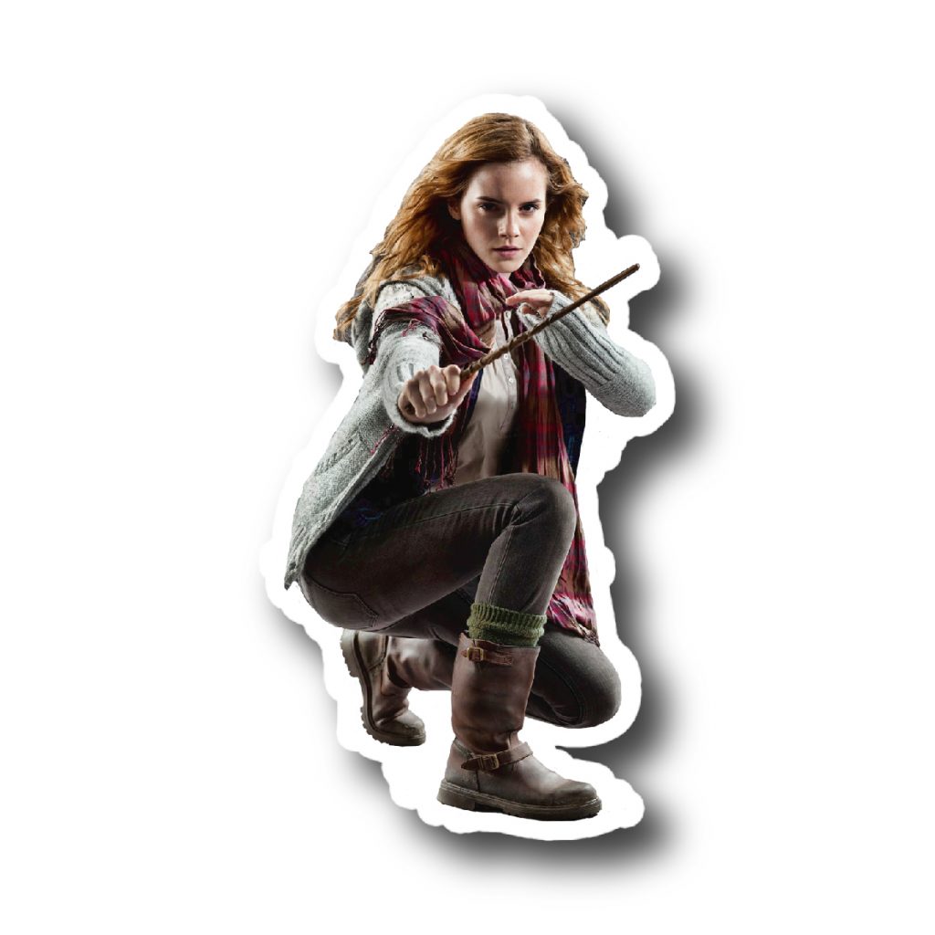 Harry Potter 34