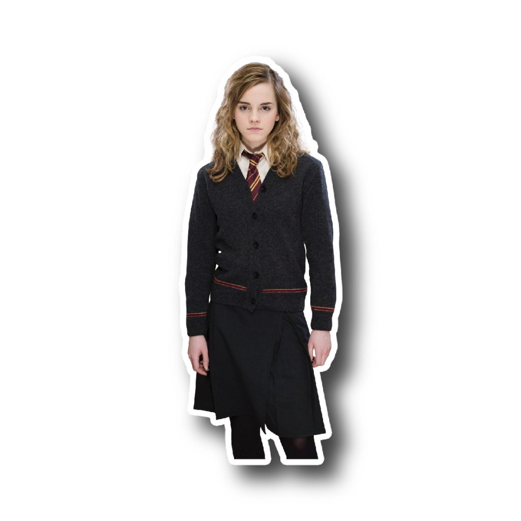 Harry Potter 42