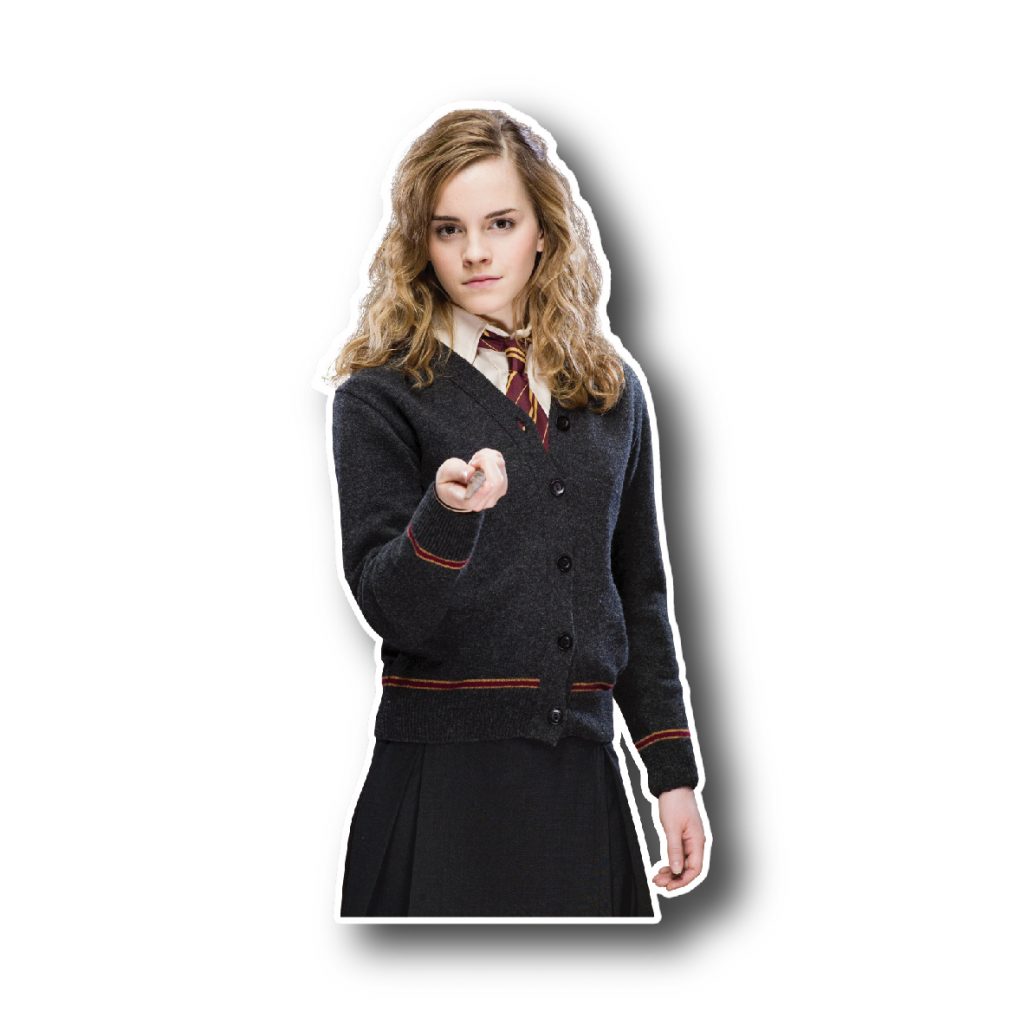 Harry Potter 43