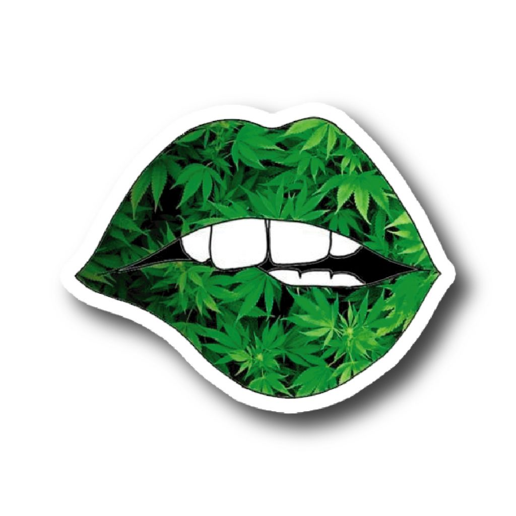 Weed y Creepy 237