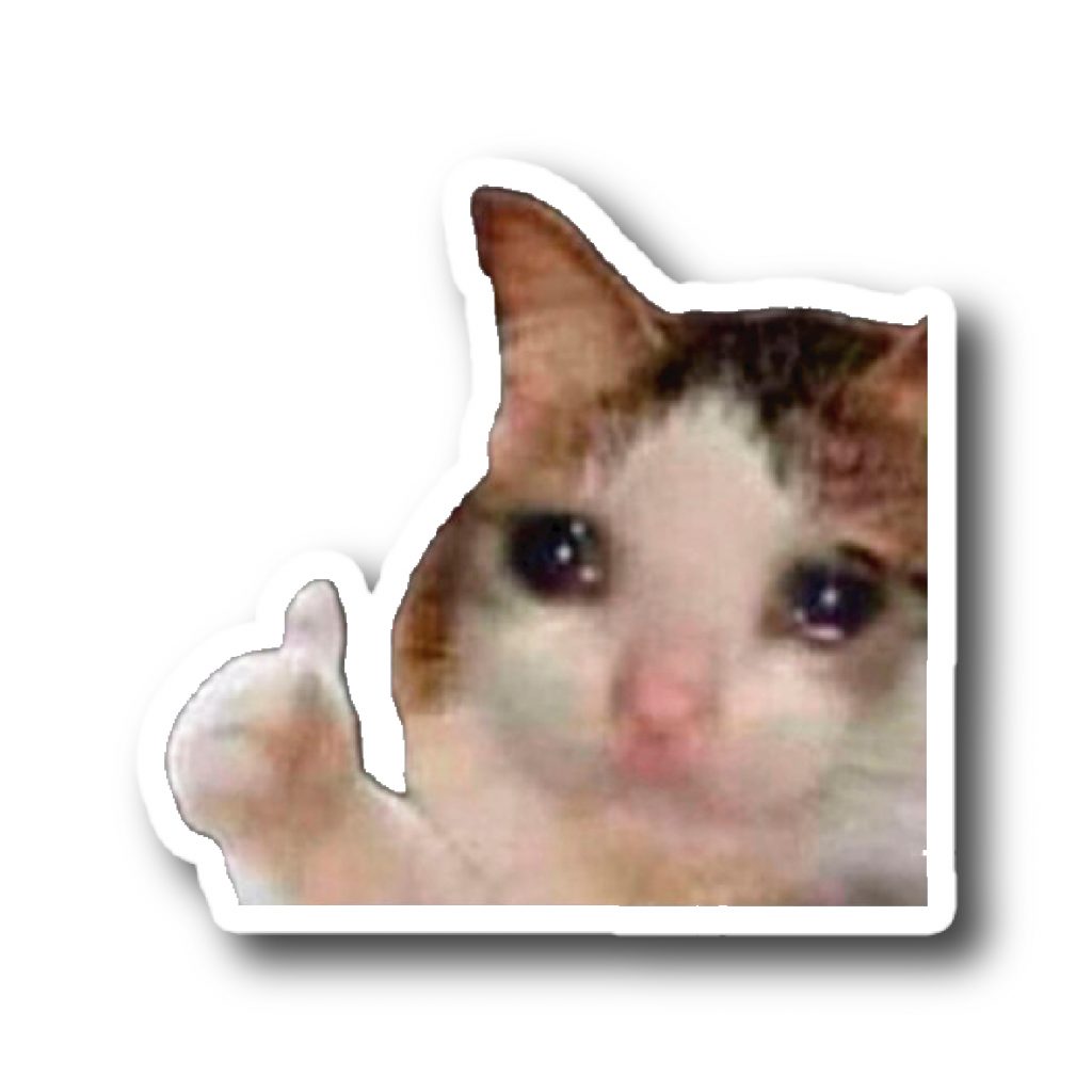 Memes 6