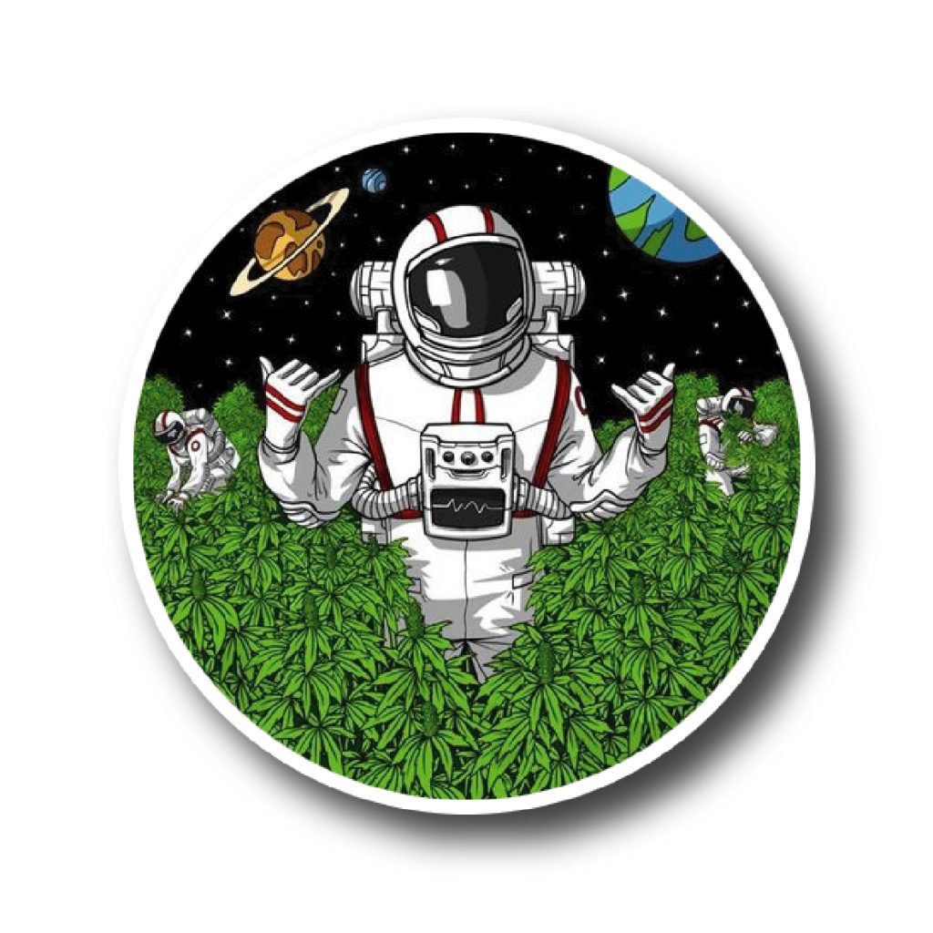 Weed y Creepy 329