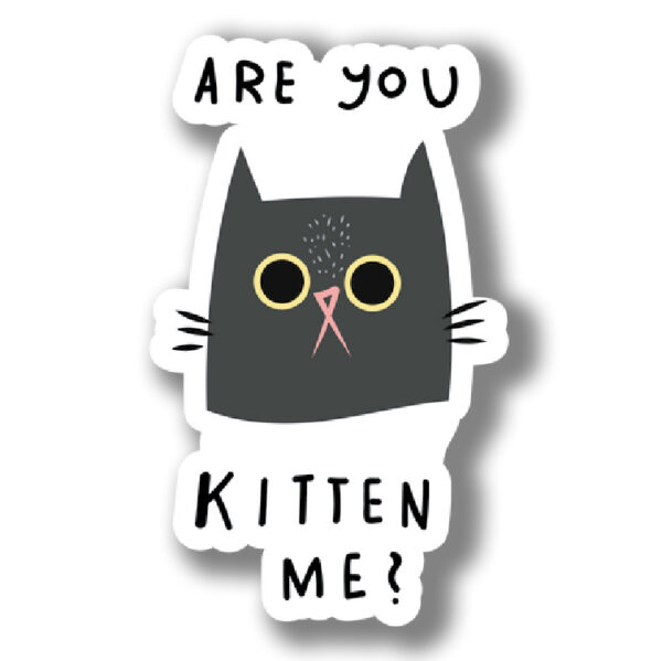 Cats 1