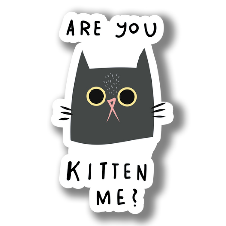 Cats 1