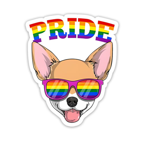Pride 15